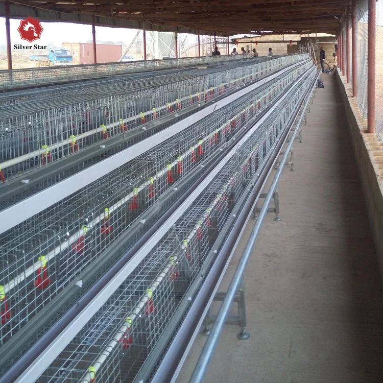 Q235 steel wire pullet chicken cage/layer cage for poultry farm