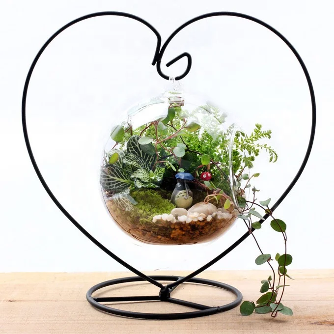 Стеклянный Террариум для домашнего декора