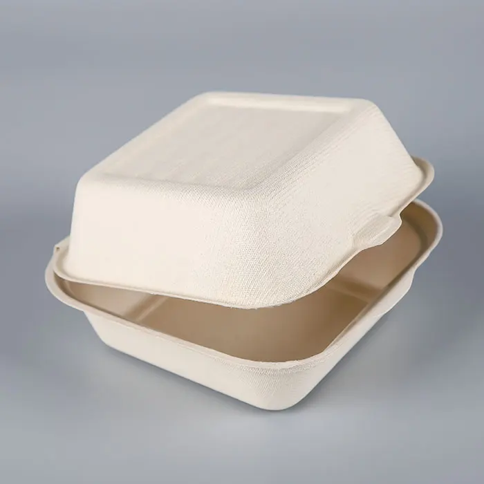 Biodegradable Sugarcane Takeaway Take Out Fast Food Packaging Box Food Containers Biodegradable Packaging