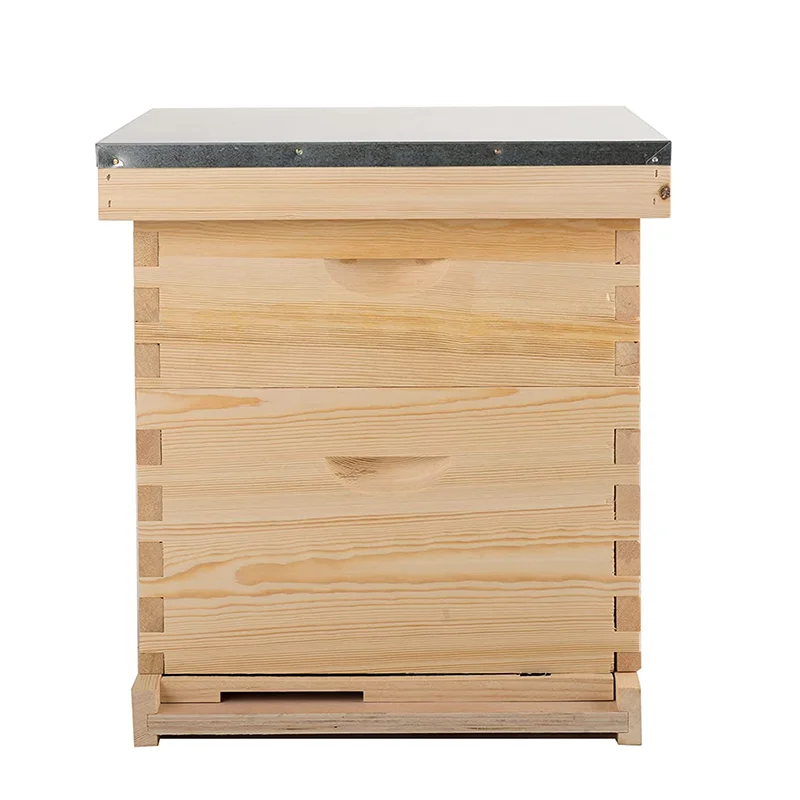 Chinese bee hives wood langstroth hive 10 frame wooden hives for bees beekeeping equipment