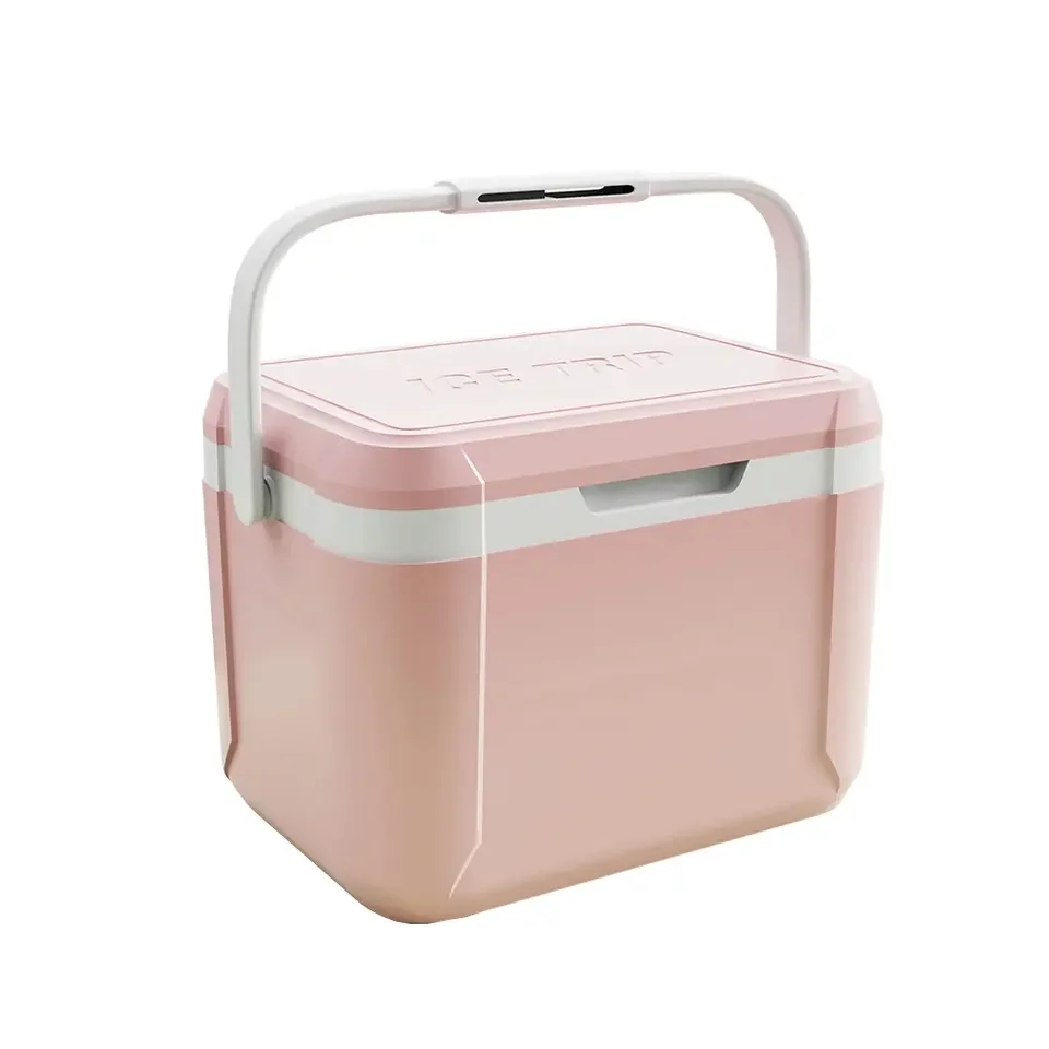 Hot sale Multifuncional Mini 5 Liter Insulated Beer Picnic Cooler Box for Outdoor Custom