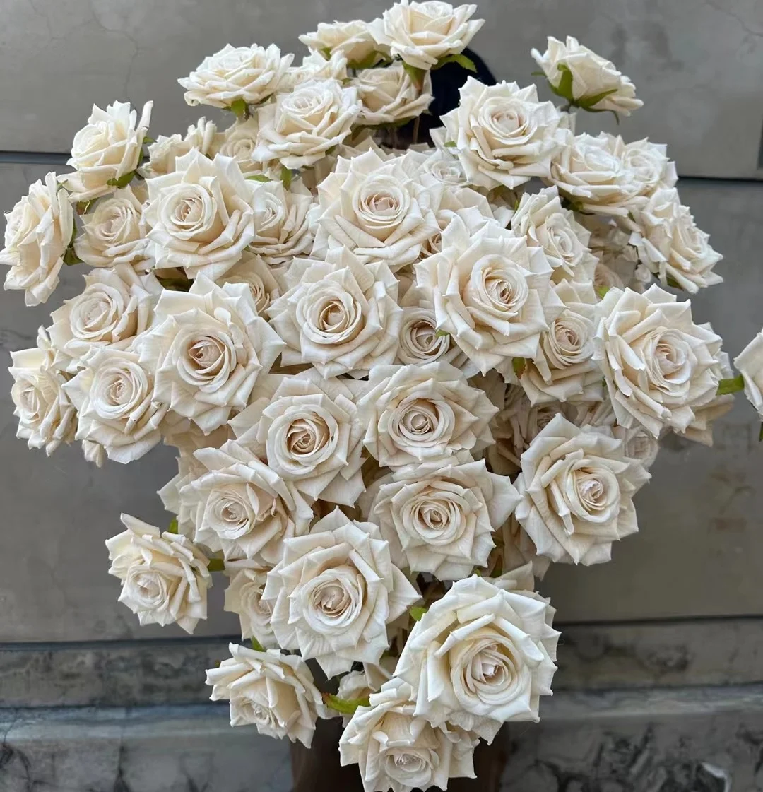 YOPIN-158 Popular Artificial 3 Heads Real Touch White Spray Roses