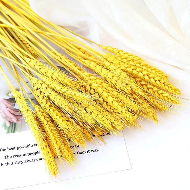 AYOYO OEM Best selling Dried wheat for home/wedding/park/school/party decoration colorful wheat wheat