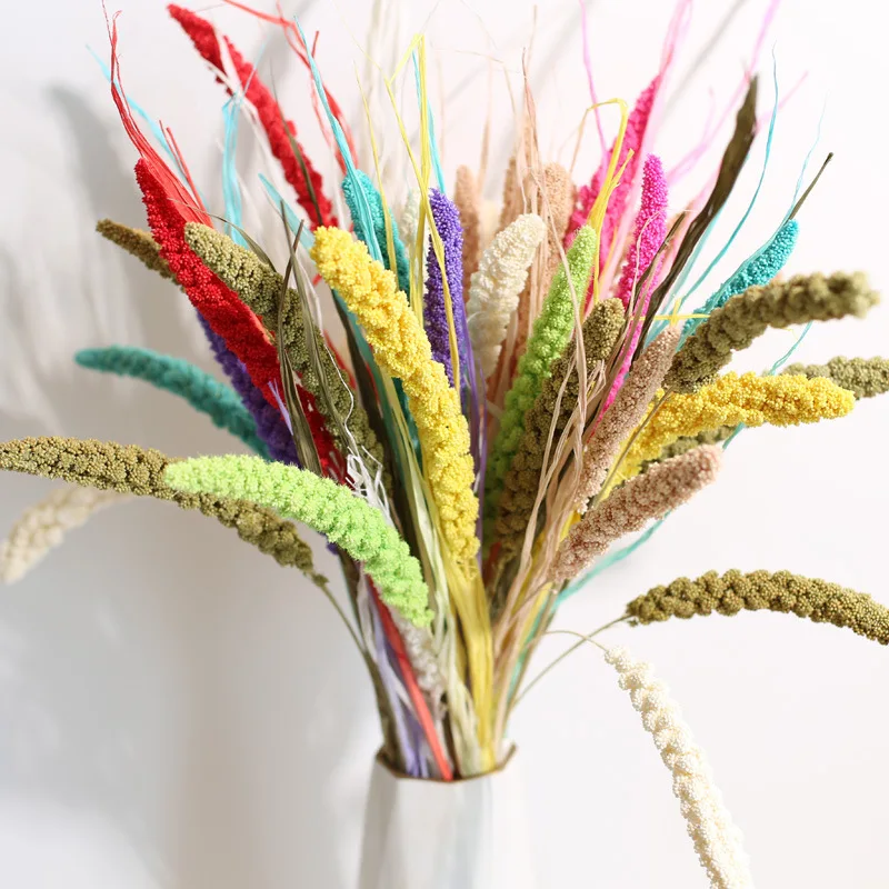 Dried natural Chinese Millet Grain flower, ears of millet, icker, earhead, floral plant