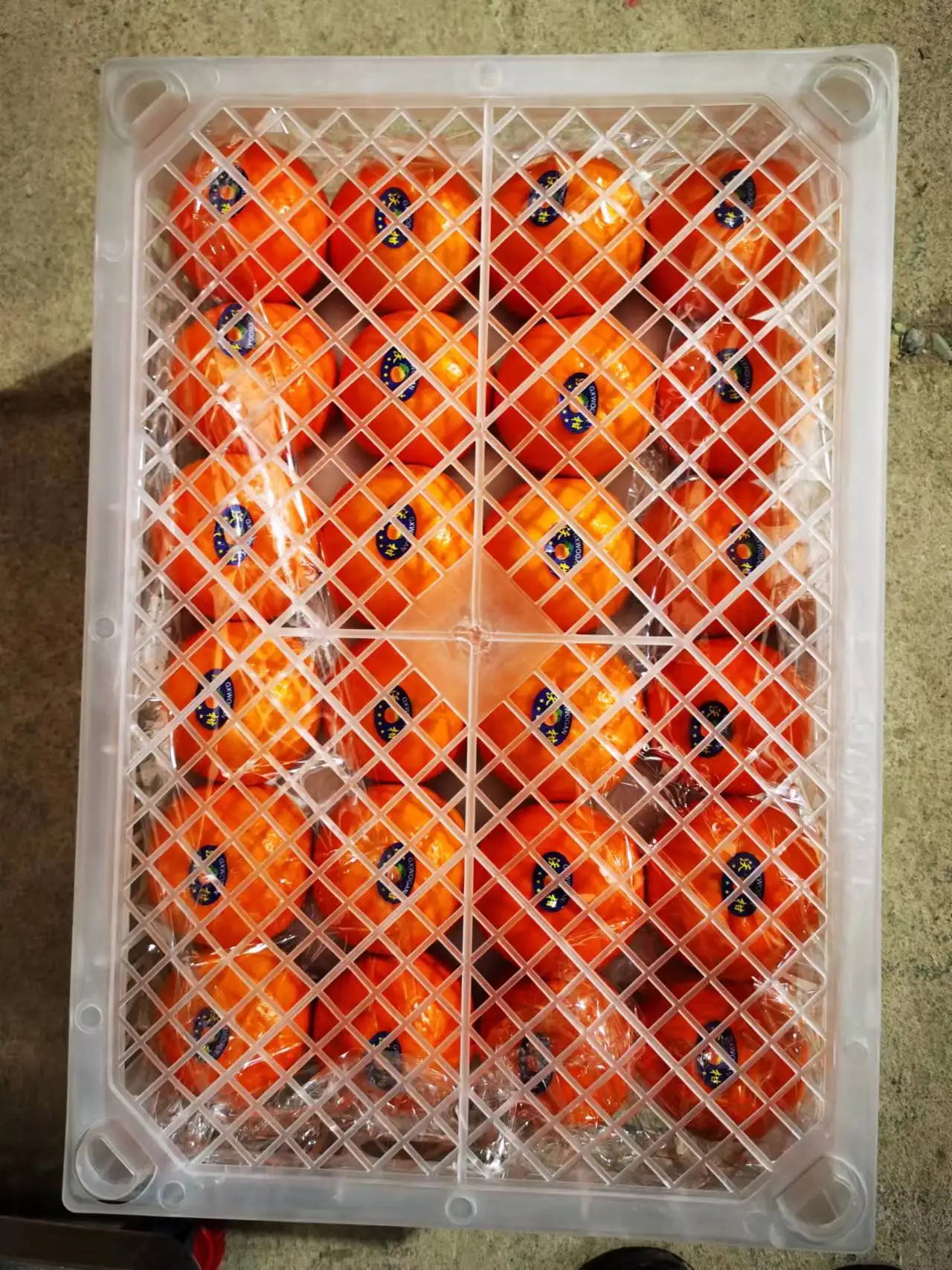 Factory fresh citrus orange price navel orange with plastic frame