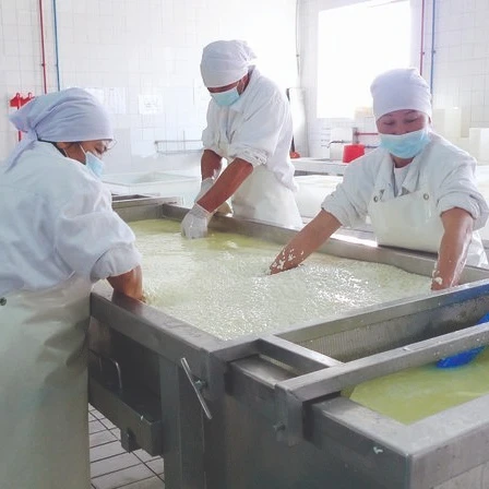 FACTORY DIRECT SALE! mozzarella cheese drum molding machine forming machine cheese vat