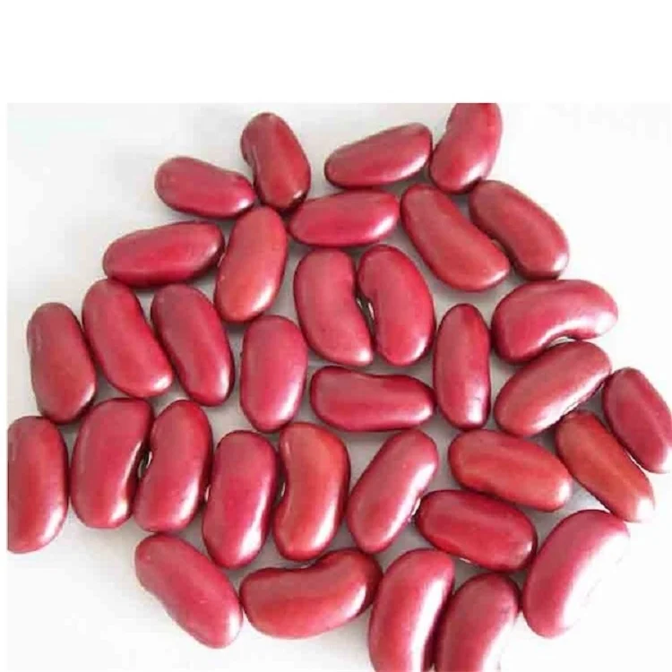 
Superior Quality Red Kidney Beans & White Red Kidney Beans Wholesale 