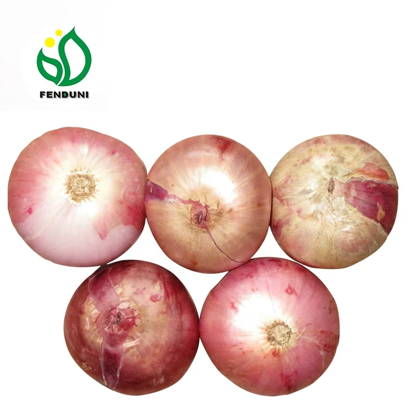 
Chinese exporters fresh market prices red onion for importers and buyers wholesale 