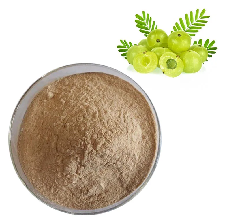 Manufacturer Supplier Amla Berry Extract Powder Emblica Extract Phyllanthus Emblica Extract