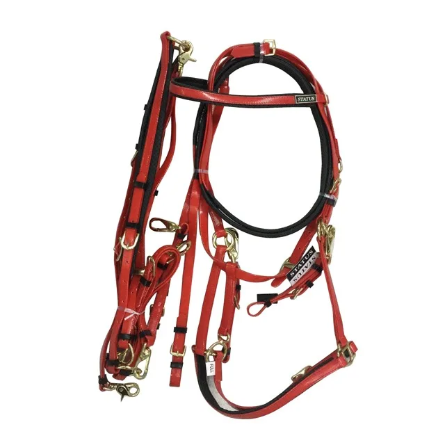
Horse Bridles In PVC Material In Many Colors 