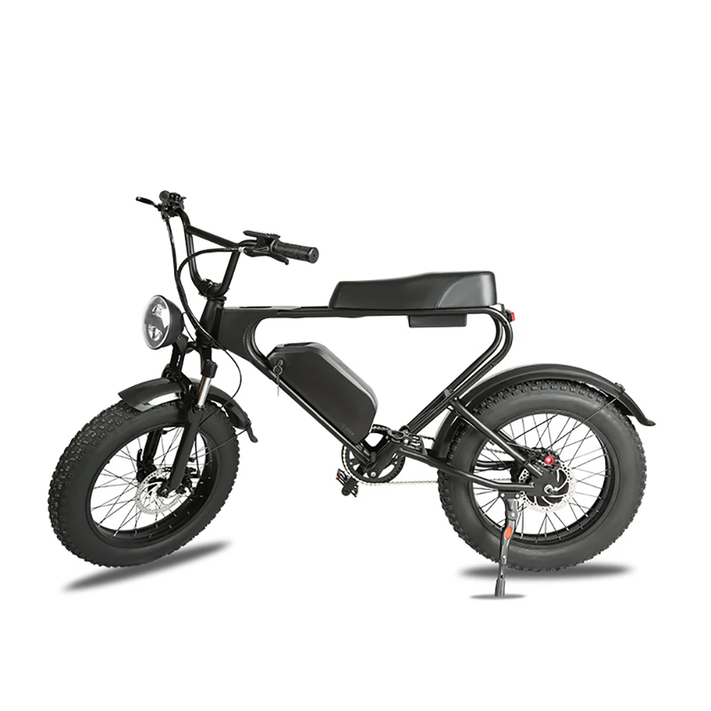 Wholesale 20 inch Fat Tire E Bicycle Ebike 750W Motor 48V 17.5AH Lithium Battery Front Shock Absorber Bike Electric Motorcycle