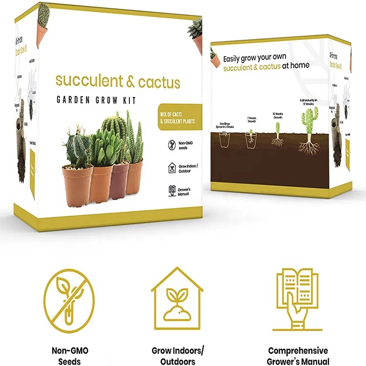 Adults Kids DIY Gift Cactus & Succulent Starter Kit With 4 biodegradable flower pots