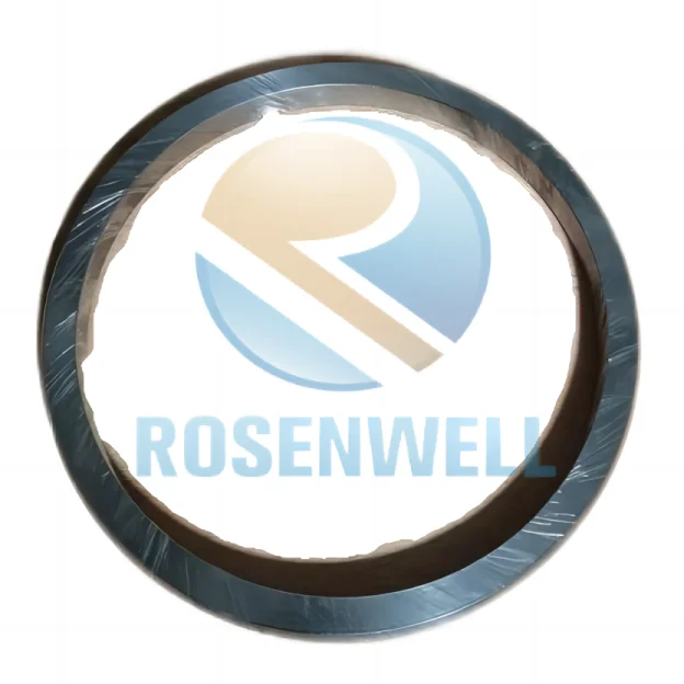 30173156 RING PISTON