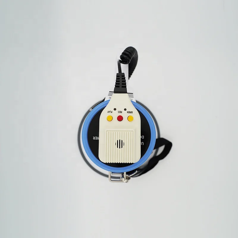 25 WATT Professional High-power Amplifier