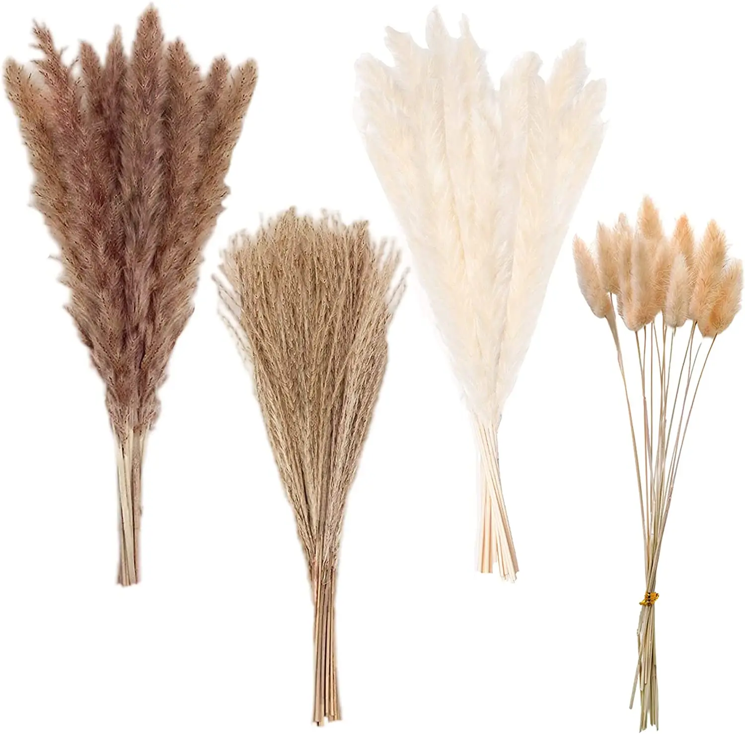 Wholesale Pampas Grass Boho Home Decor 75Pcs Natural Dried Fluffy Pompas Grass