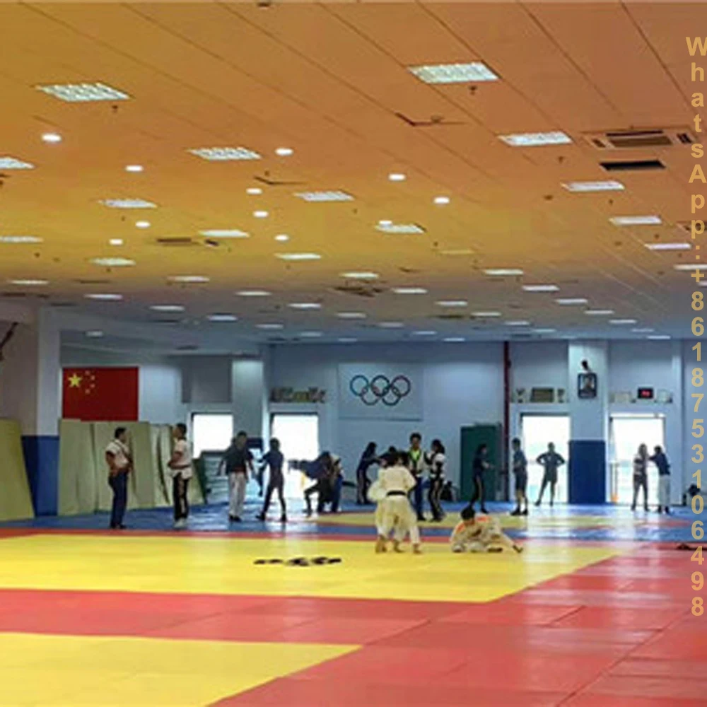 Judo Mat for Training and Competition Durable and Lightweight Essential for Judo Practice