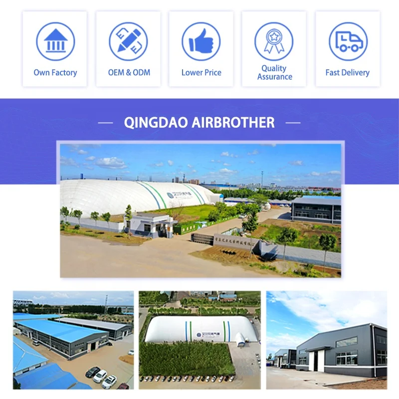 China Professional Manufacturer Customized Small Inflatable Tent for Camping