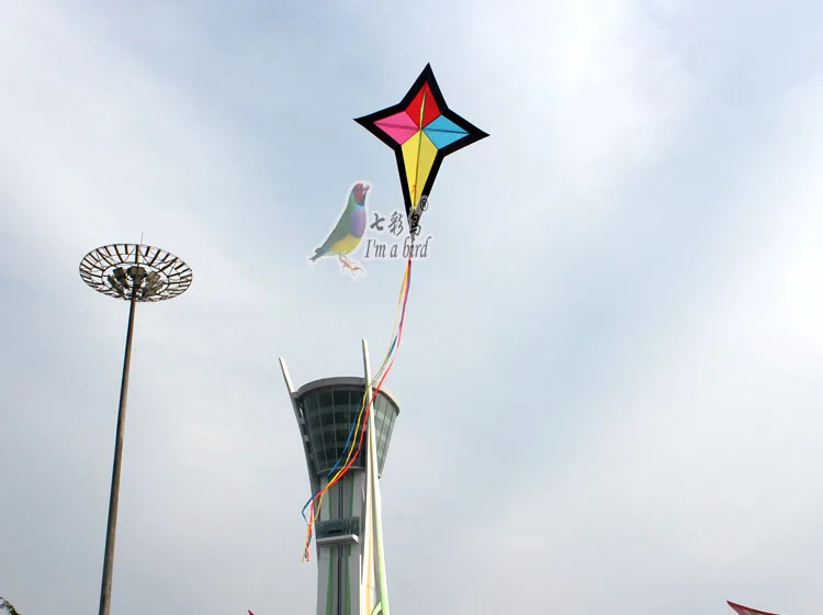 High quality funny polaris diamond kite for sale