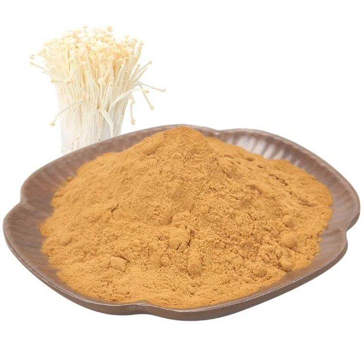
Organic Pure Nature Flammulina Velutipes Winter Mushroom Enoki Mushroom Extract Powder for Health Ingredients 