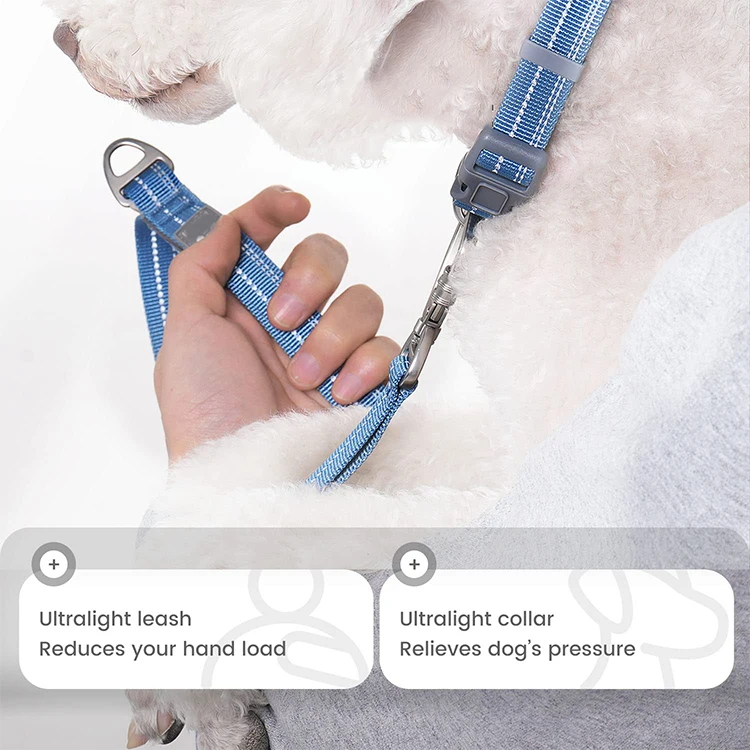 QQgift custom Dog Lead and Collar Set for Small Dog Adjustable pet Lead with Carabiner and Padded Handle with Reflective Stripes