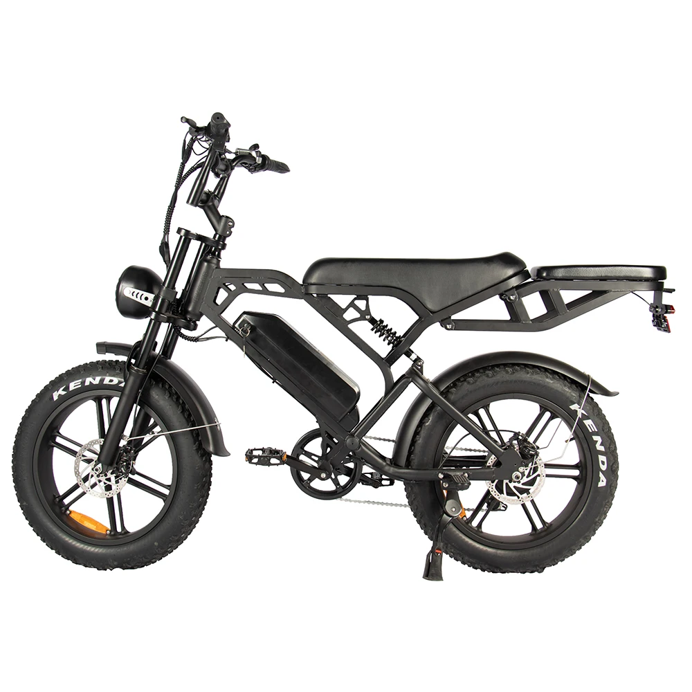EU Stock 2 Seat Electric Bike for Adults Front Rear Hydraulic Brake Bicycle Bicicleta Electrica 48V 15ah Fat Tire Electric Bike