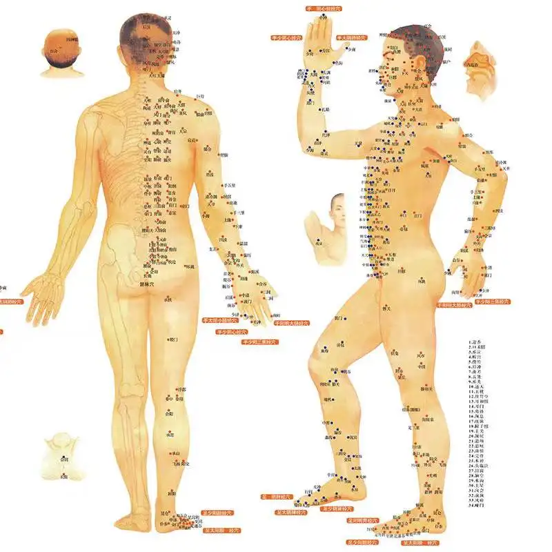 Clear Chinese medical acupuncture charts points human body acupoint meridian map