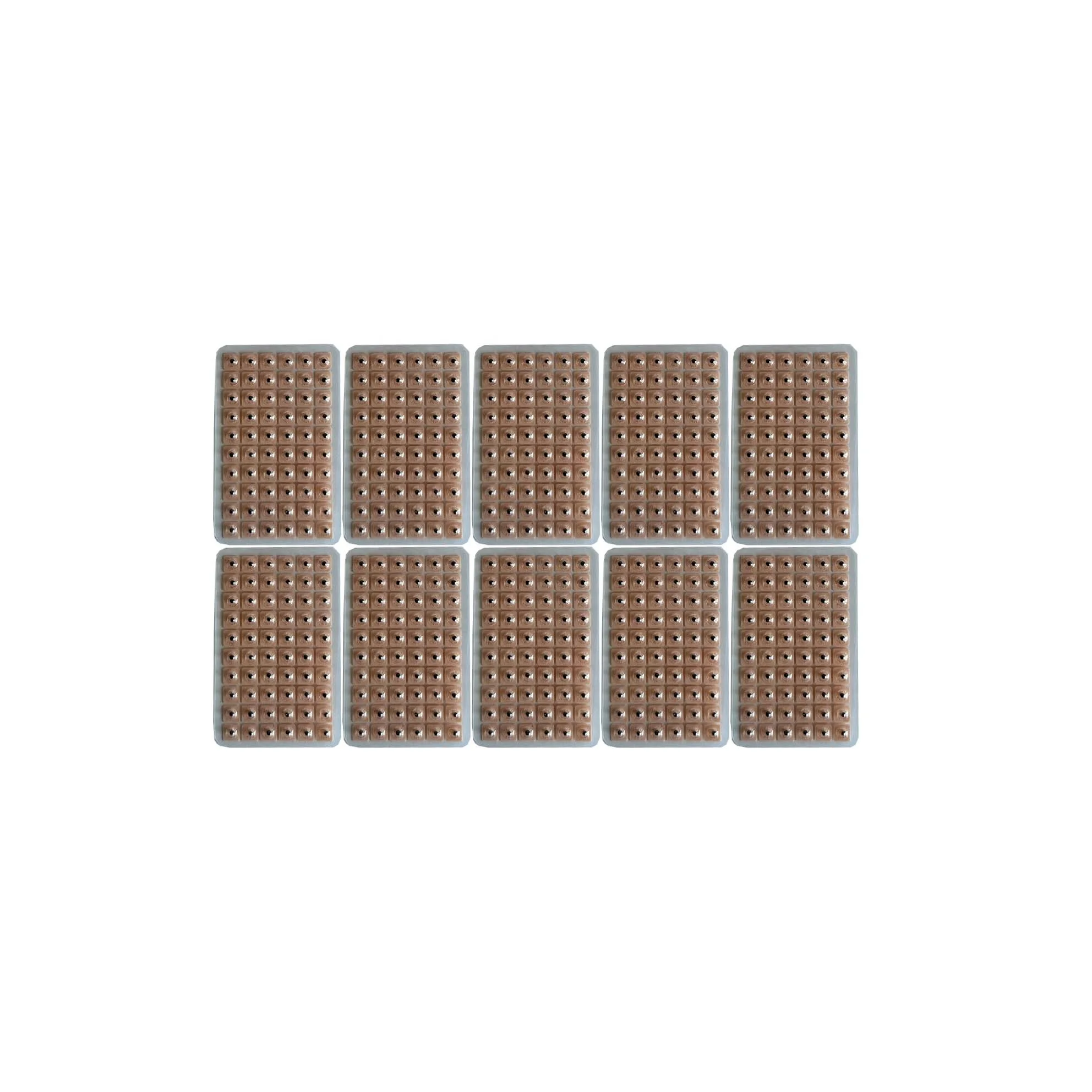 Acupuncture Vaccaria Ear Seeds 600 Counts Disposable Ear Press Seeds Multi-Condition Ear Seed Acupressure Kit (10 Plates)