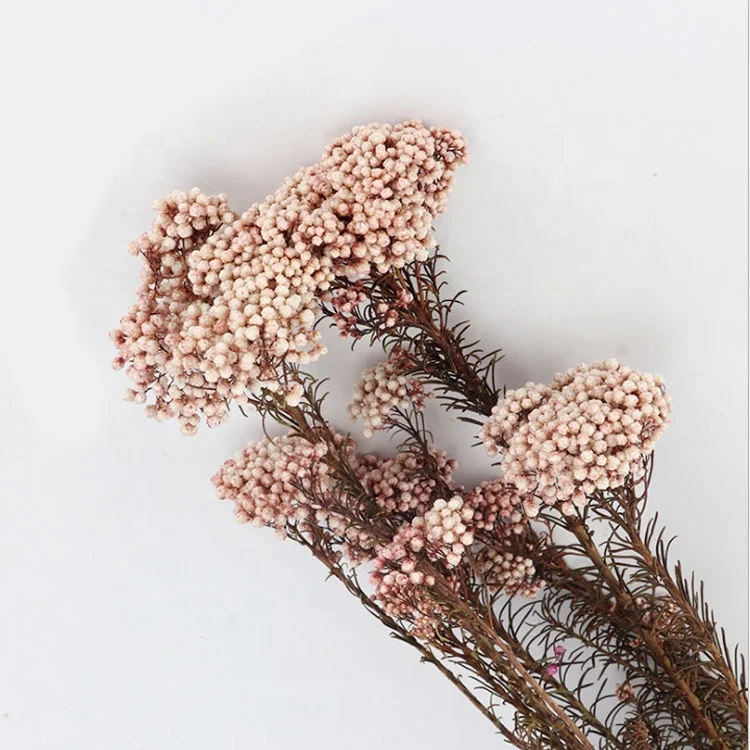 Natural small dried preserved millet flower rice flowers floral decors wedding design