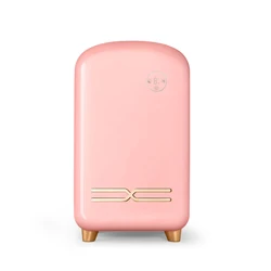 12L new products semiconductor mini fridge  beauty refrigerators for cosmetic mini makeup fridge