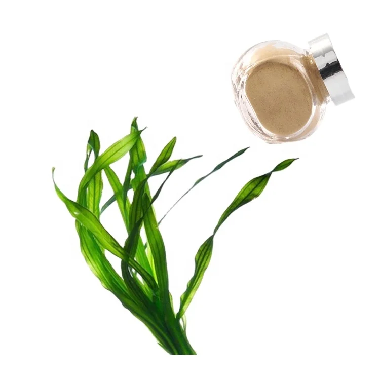 Marine Red Algae Extract