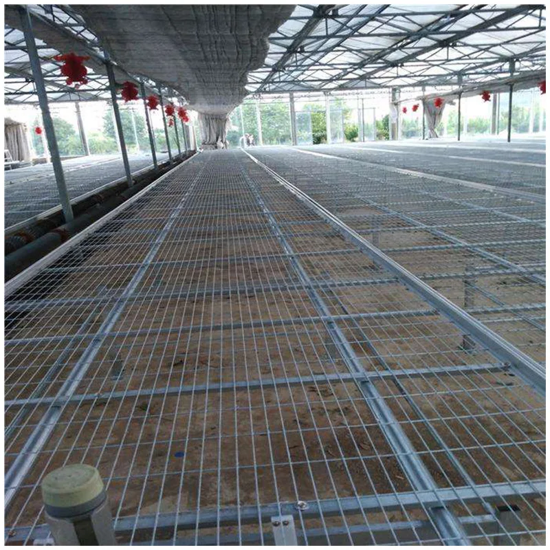 Hydroponic Greenhouse Equipment Hot Dip Galvanized Mesh