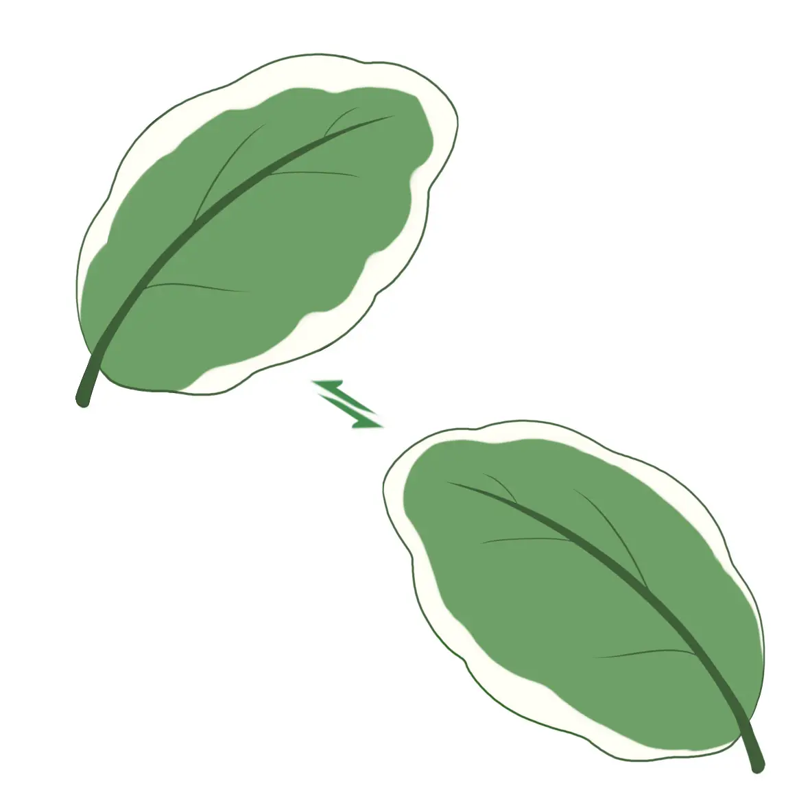 Cushion Cover Making Sublimation Digital Print Decoration Anime Body Pillow Donkey Plush Pillowcase Microfiber Pillowcase