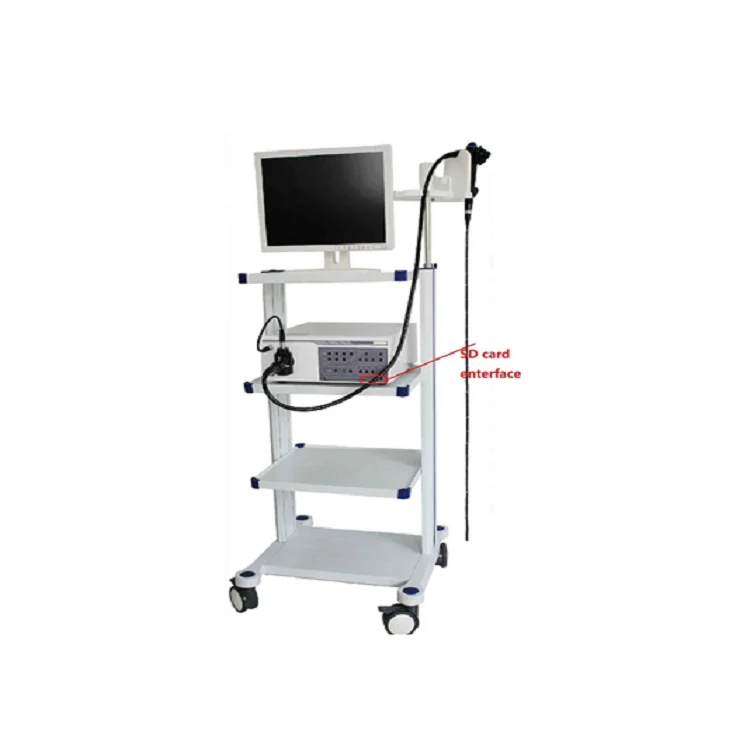 A-Faith 2022 VET-9000 Medical Endoscopy System with Electronic Video Gastroscope And Colonoscope Video Endoscape