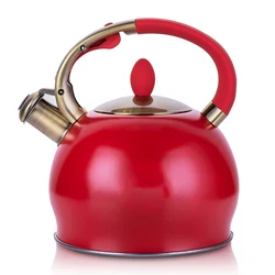 Чайник для воды со свистящим покрытием и логотипом на заказ, чайник из нержавеющей стали, чайные горшки