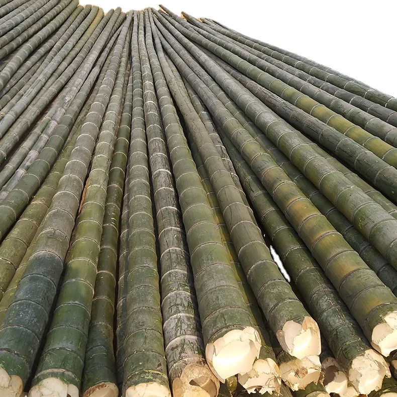 Factory bamboo poles cheap