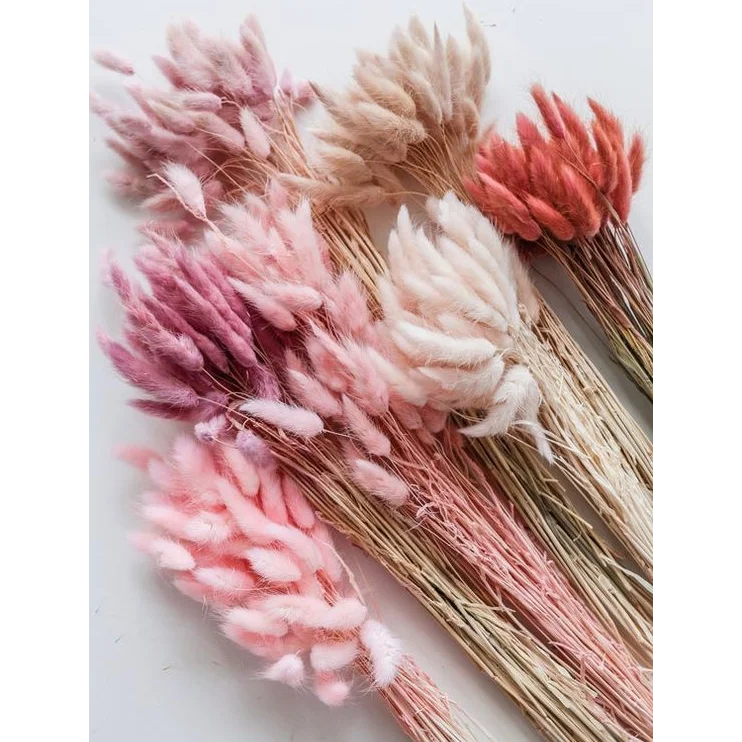 Wholesales Trendiest Natrual Plant Dried Uraria Picta Lagurus Ovatus Rabbit Tail Grass Christmas decor Christmas