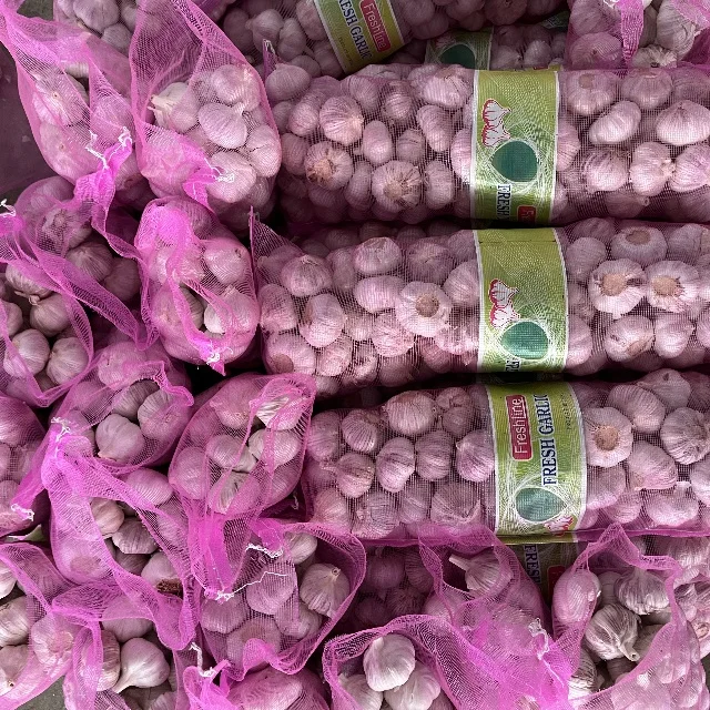 Import Shan Dong Garlic 2024 Oman 5.0cm  5kg Per Bag