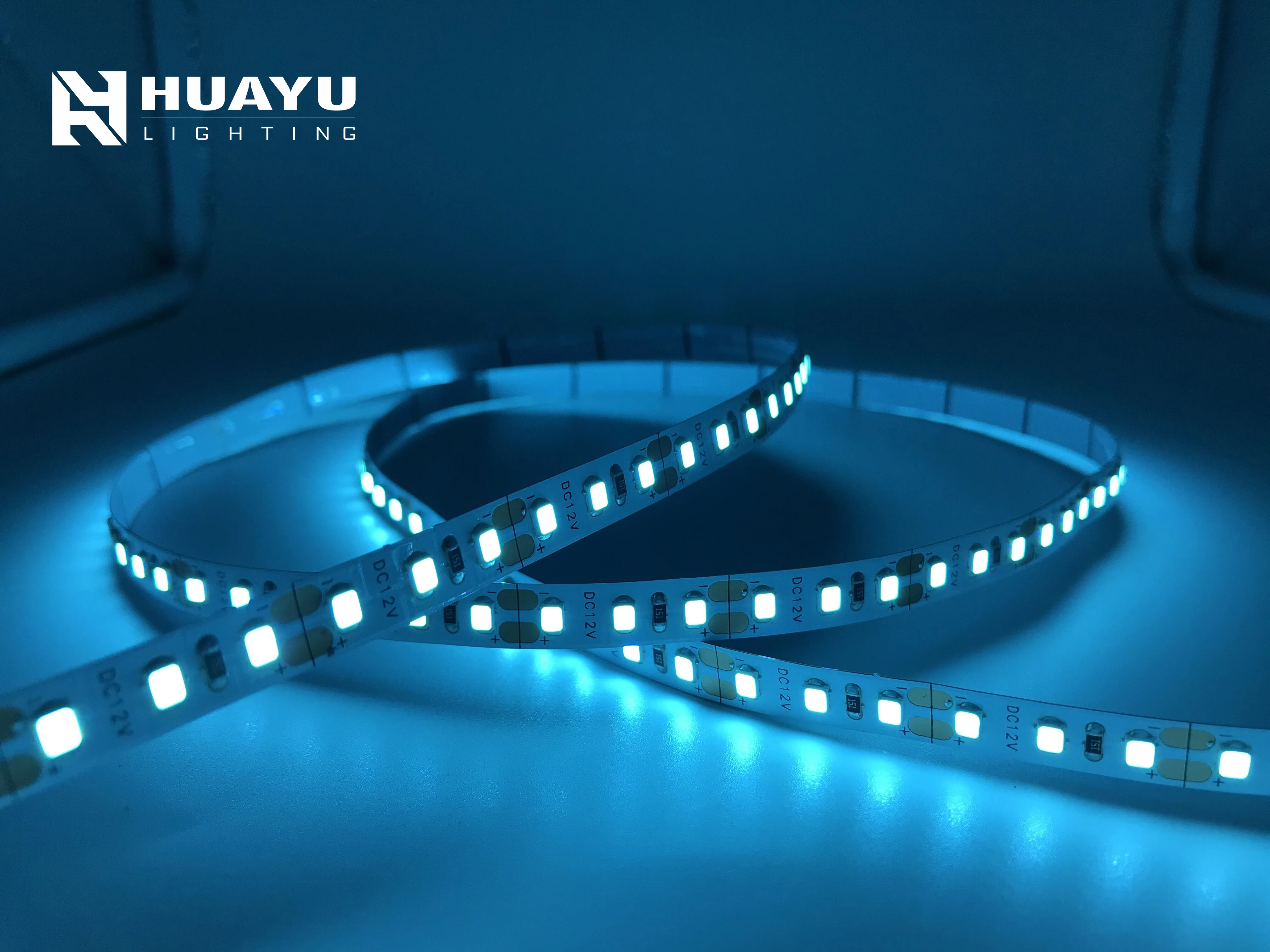 SMD5050 SMD2835 SMD 3528 60leds/m 120leds/m flexible led strip light 12V 24V with sky ice blue color for indoor decoration