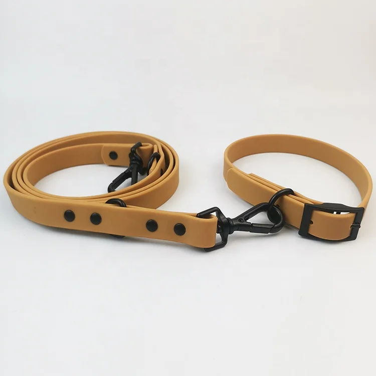 collar and leash (24).jpg