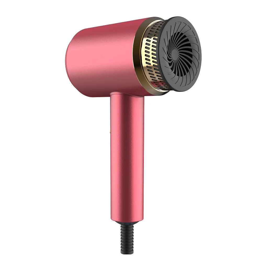 Wholesale Compact Private Label Low Noise Ionic Hair Dryer Machine
