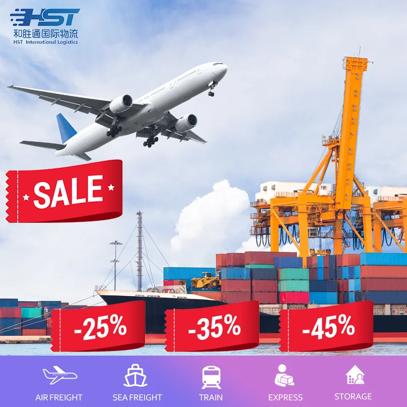 China to Brazil Ocean Freight Forwarder DDP Special Line International Freight Logistics Free Warehousing Service pick up