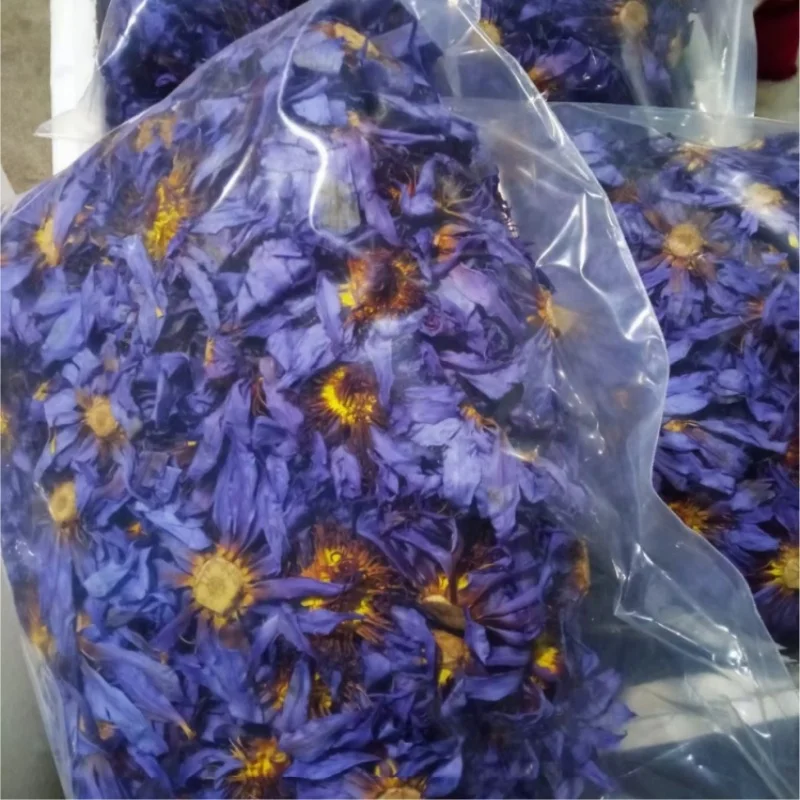 100 g a per one bag sample link in Bulk Nymphaea tetragona wholesale Nymphaea L.Blooming Tea water lily Dried Blue Lotus Flowers