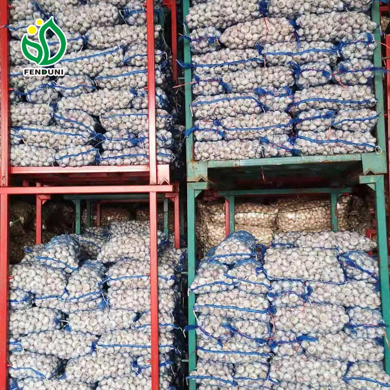 Normal white ajos 200g/250g/500g fresh raw garlic form Chinese for sale in bulk