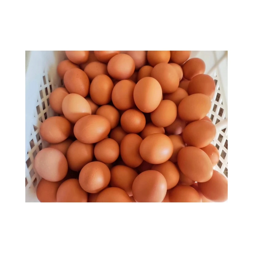 3% Compound Premium Layer Feed - Wholesale Poultry Feed for Chickens and Ducks