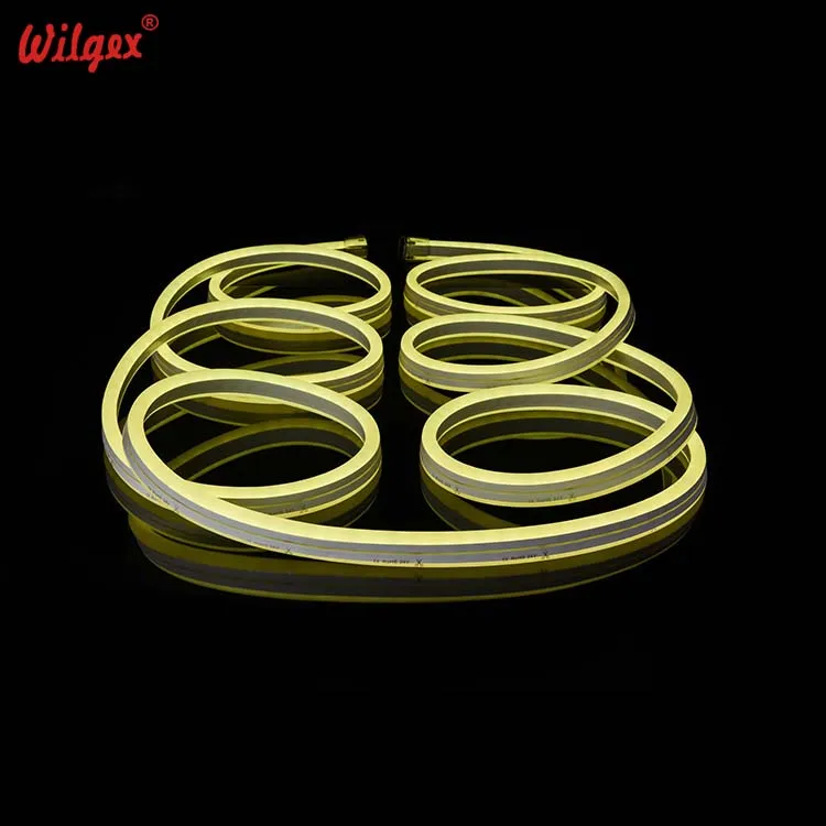 Factory Best Selling Products LED Neon Flex RGB PWM DMX 11x24mm Duplex CE RoHs 24V 120V 230V IP68 Tape Christmas Strip Lights