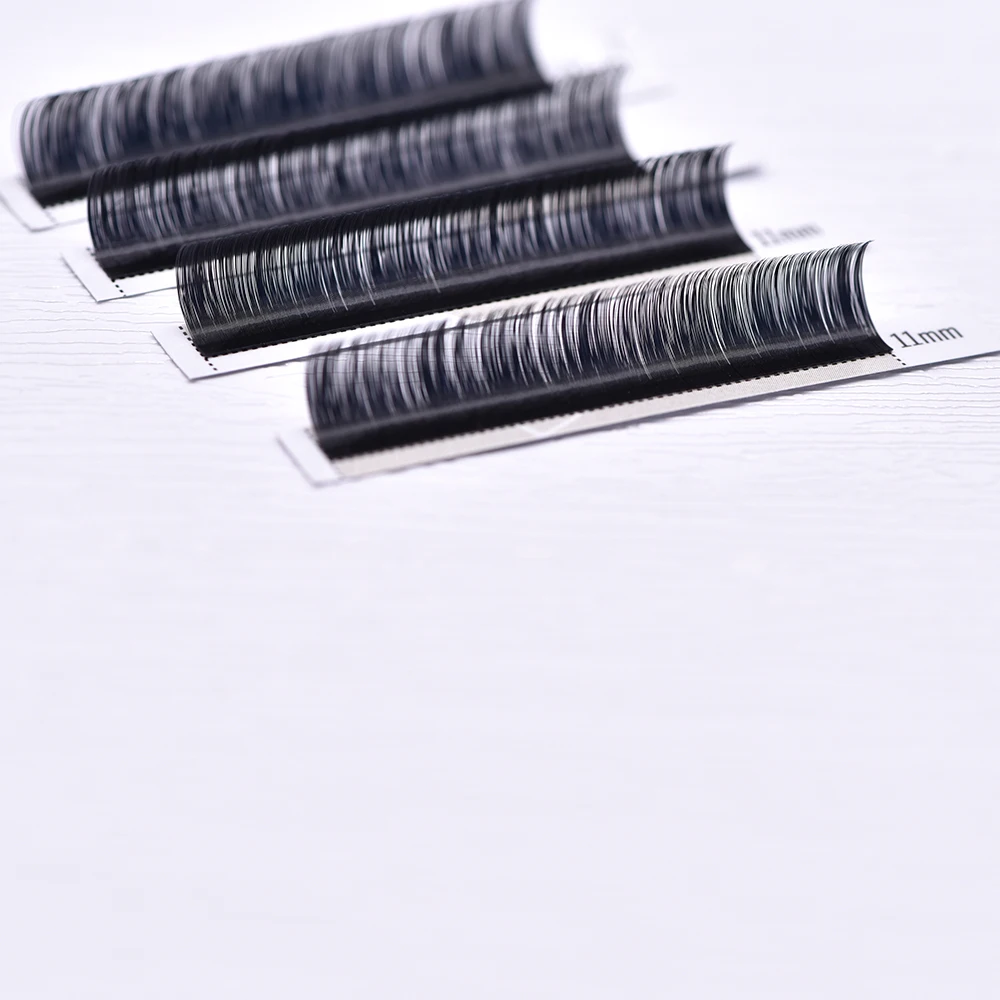 LashPlus Natural Long Individual C CC D DD Matte Black PBT Fast Dispatch Classic Eyelash Extension Lash Trays Wholesale Private