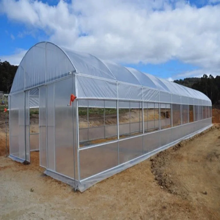 Tunnel plastic film greenhouse agricultural greenhouse