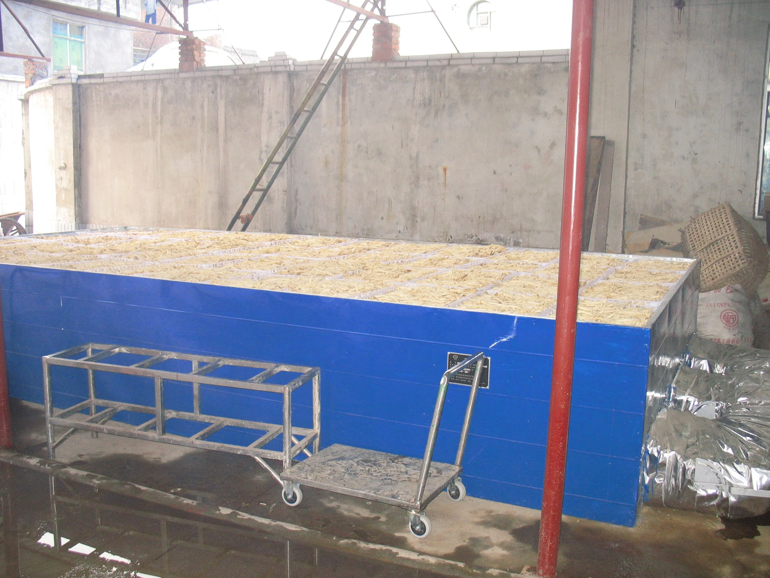 Chuanminshen violaceum Chinese herbal medicine Flat bed dryer