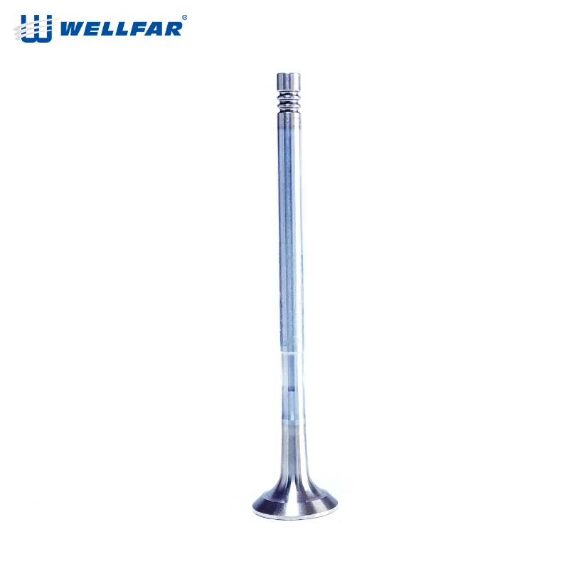 High Quality Exhaust valve  Engine Valve for Fiat
