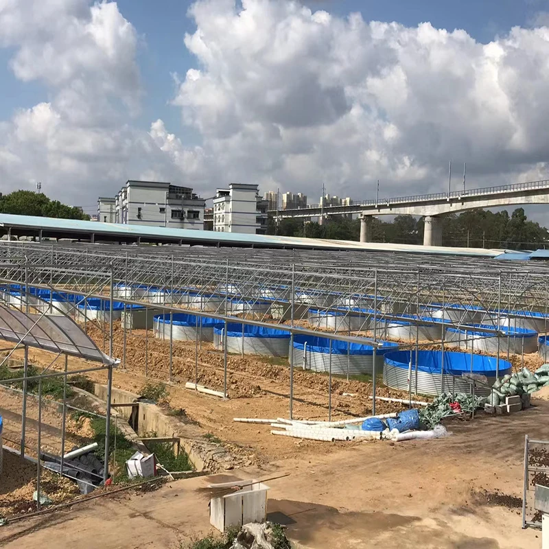 Flat ,Dome, or Inverted Roof  Corrugated Water Steel Storage TanksAgricultural irrigation Fire Protection water storage tanks